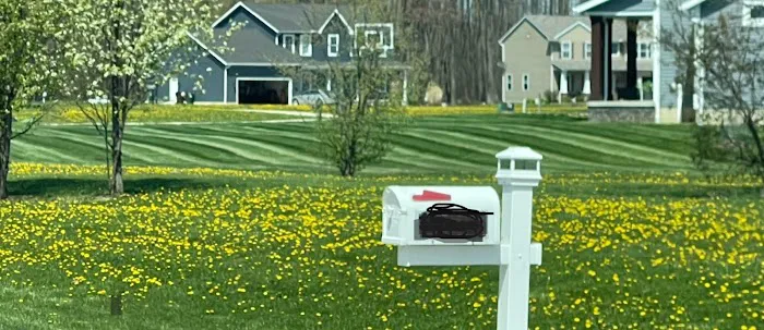 YourScape Fertilization and Lawn Care Picture 4