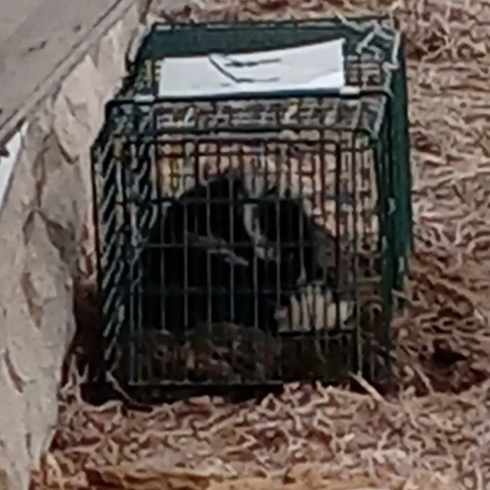 Taylor Pest Control LLC Picture 7