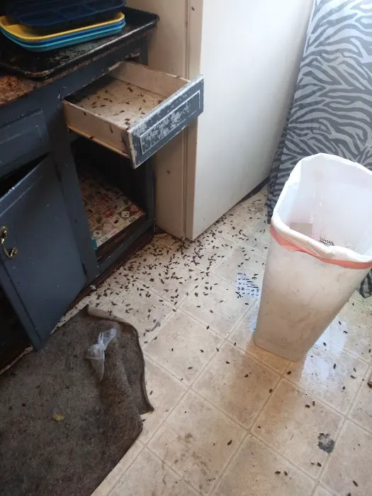 Taylor Pest Control LLC Picture 4
