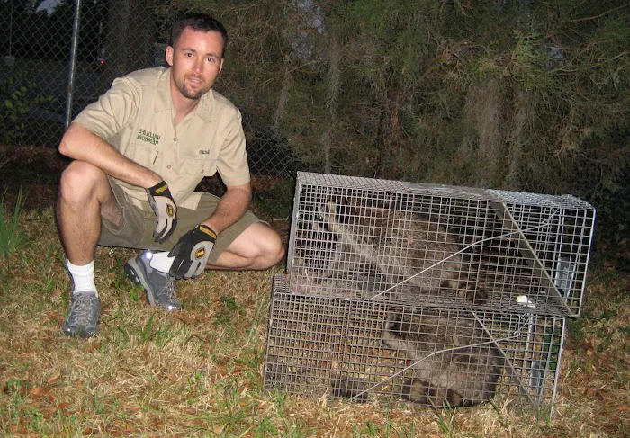 Sandusky Wildlife Removal Pro Picture 2