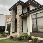 Professional Bug Solutions