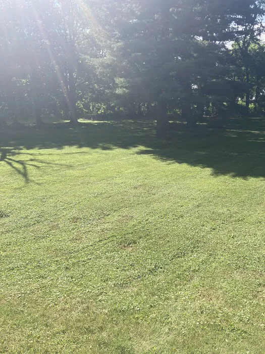 Free Spray Lawn Care Picture 2