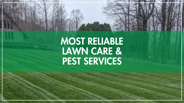 Free Spray Lawn Care Picture 4
