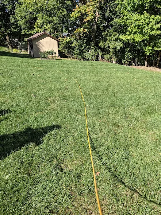 Free Spray Lawn Care Picture 1