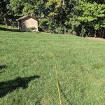 Free Spray Lawn Care