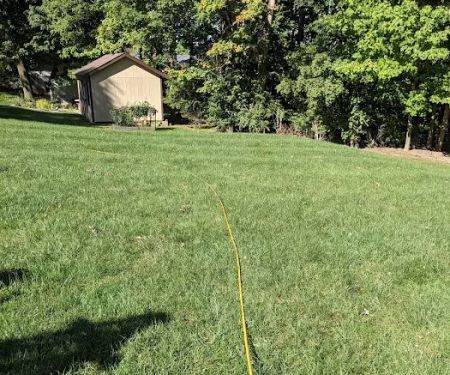 Free Spray Lawn Care
