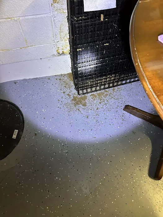 Professional Bug Solutions Picture 1