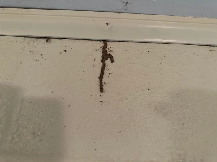 Professional Bug Solutions Picture 6