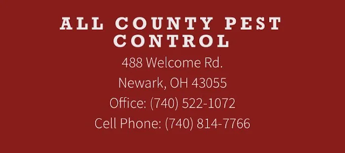 All County Pest Control Picture 3