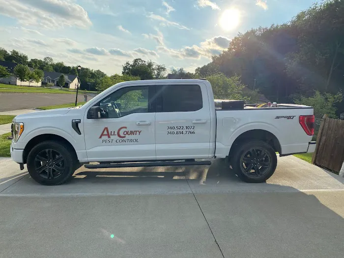 All County Pest Control Picture 1
