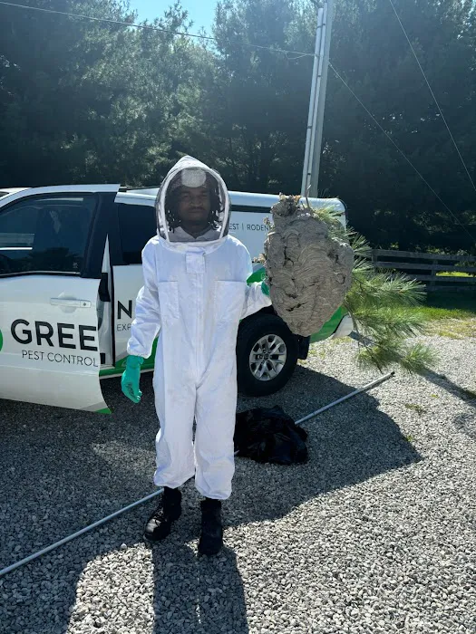 Greenix Pest Control Picture 8