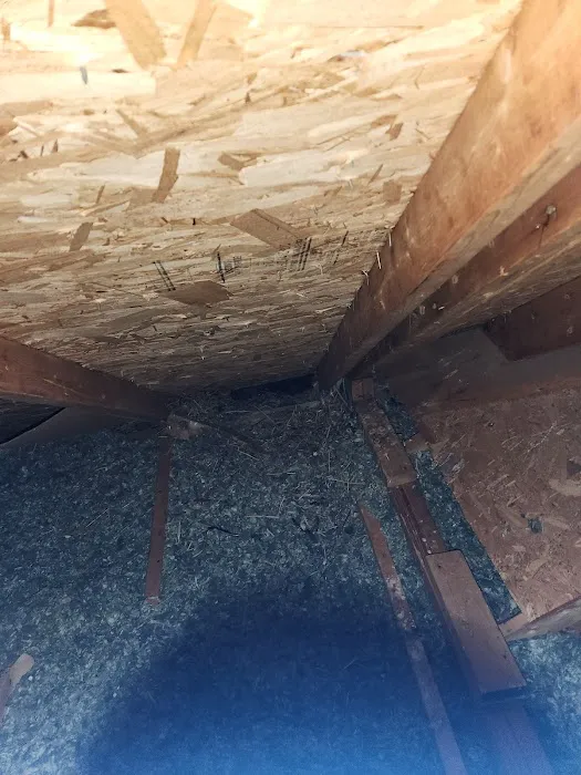 Swat Pest Solutions LLC Picture 1