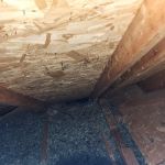 Swat Pest Solutions LLC