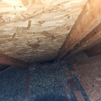 Swat Pest Solutions LLC ico