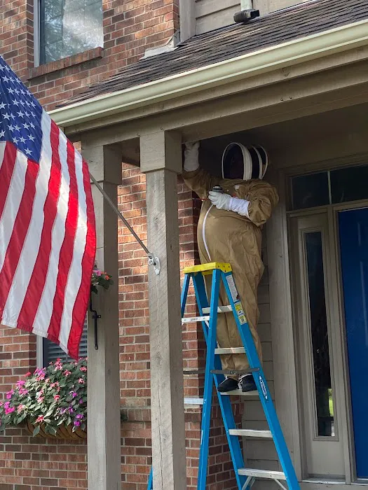 Swat Pest Solutions LLC Picture 6
