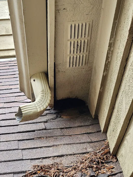 Swat Pest Solutions LLC Picture 3