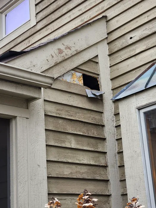 Swat Pest Solutions LLC Picture 2