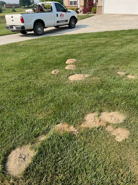 Aardvark Pest Pro Picture 1