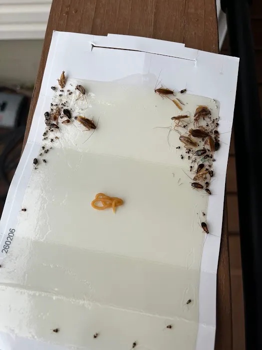 Aardvark Pest Pro Picture 2