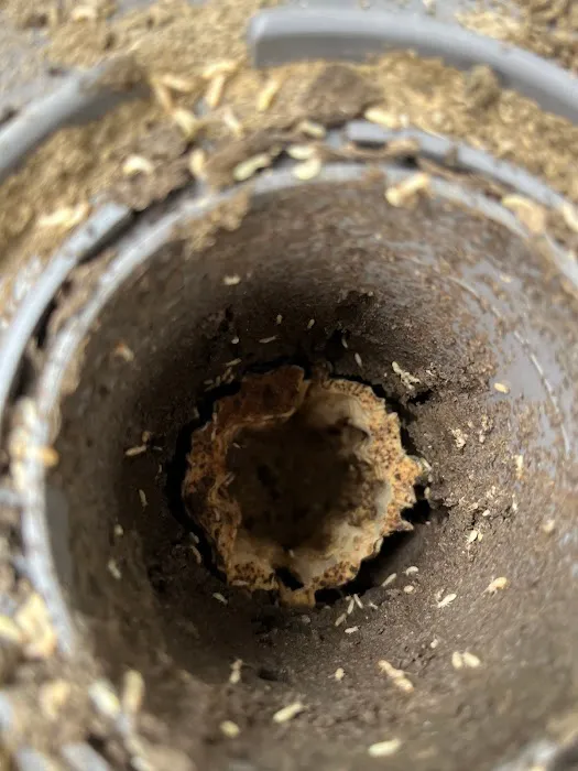 Aardvark Pest Pro Picture 3