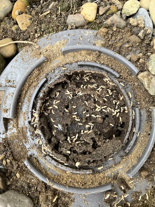 Aardvark Pest Pro Picture 9