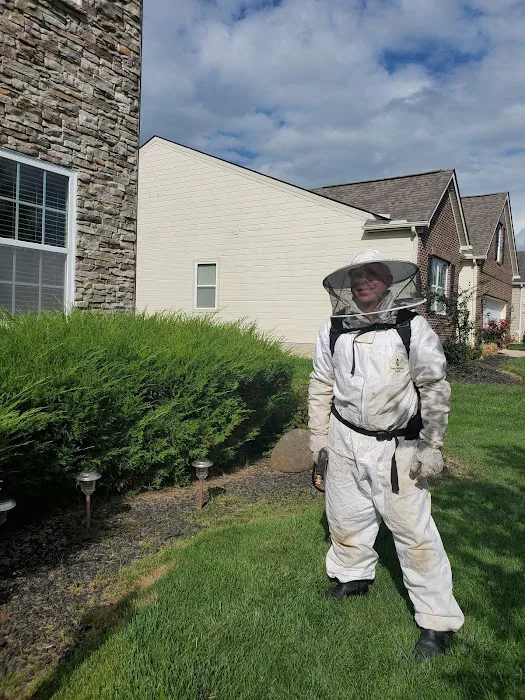 Zander Pest Control Picture 3