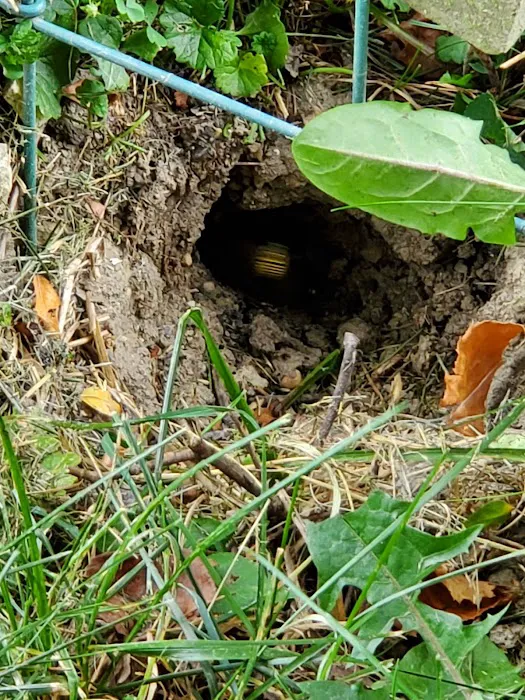 Caudill Pest Control LLC Picture 9