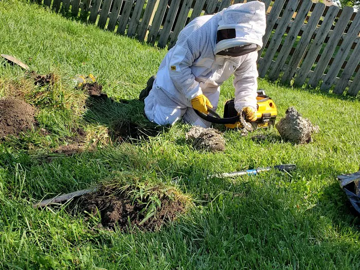 Caudill Pest Control LLC Picture 8