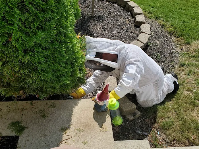 Caudill Pest Control LLC Picture 7