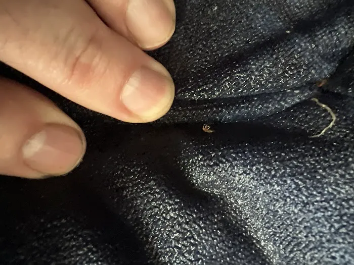 BUCKEYE BUG SERVICES Picture 9