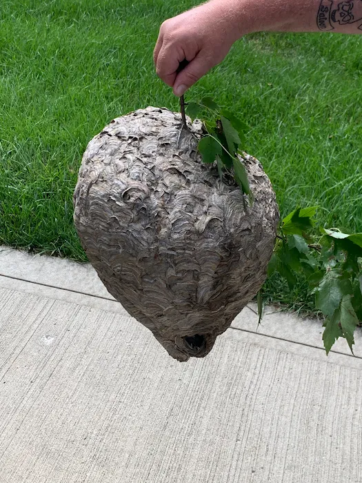 Platinum Pest Protection, LLC Picture 5