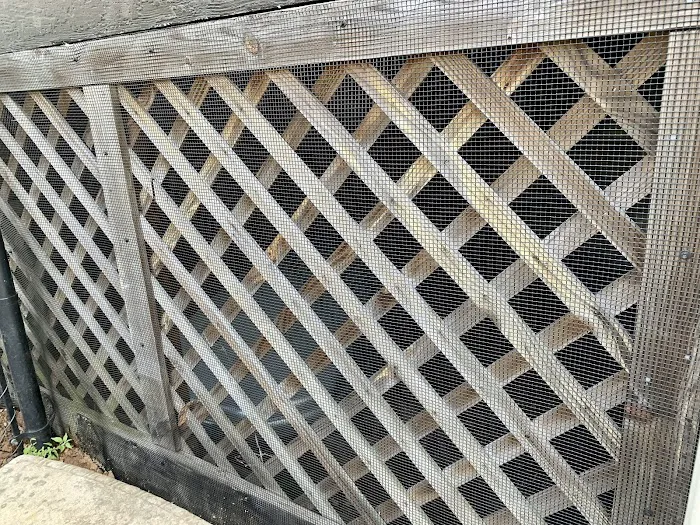 Star City Pest and Wildlife Picture 6