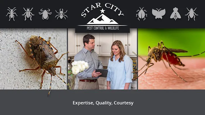 Star City Pest and Wildlife Picture 4