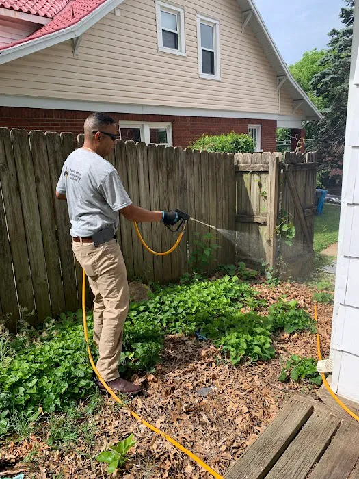 Bug Bee Gone Exterminating LLC Picture 9
