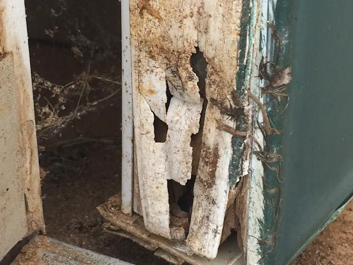 Bug Bee Gone Exterminating LLC Picture 7