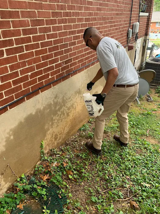 Bug Bee Gone Exterminating LLC Picture 6