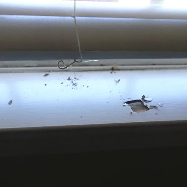 Brown Exterminating Co Inc Picture 1