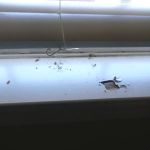 Brown Exterminating Co Inc
