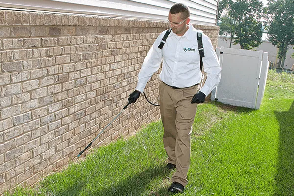 All Pest Control Inc Picture 3