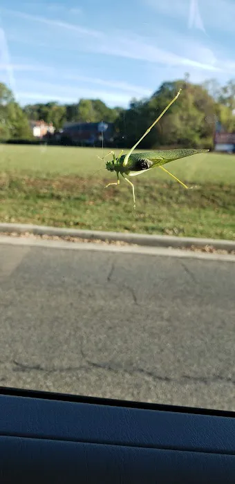Dodson Pest Control Picture 1