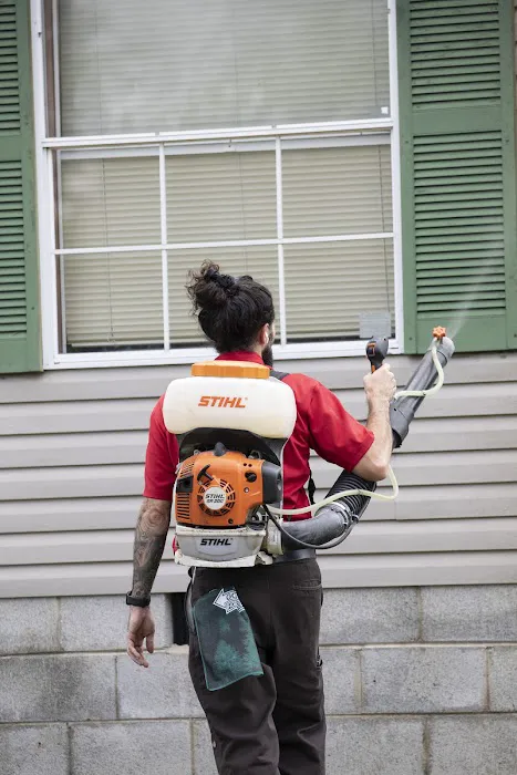 Go-Forth Pest Control Picture 8