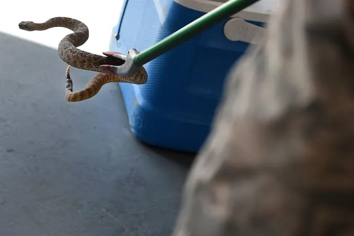 Home Defense Pest Management Picture 5
