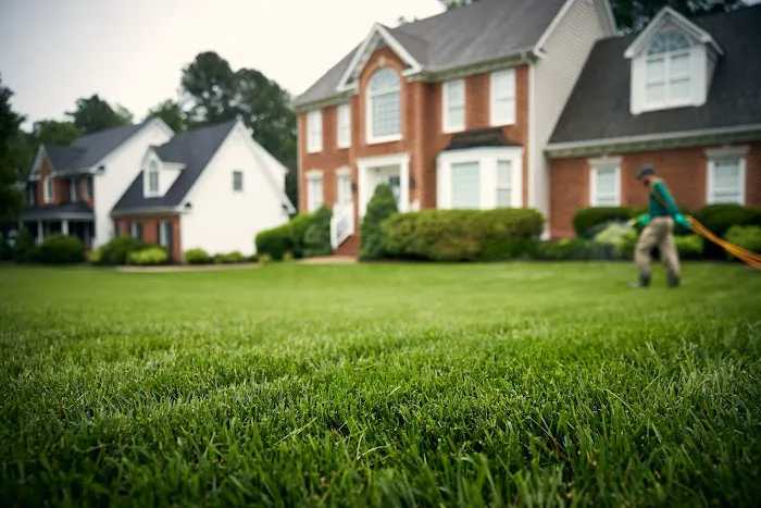 Virginia Green Lawn Care Picture 1