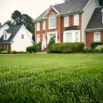 Virginia Green Lawn Care