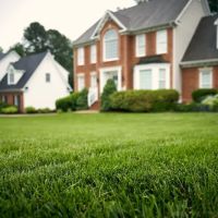 Virginia Green Lawn Care ico