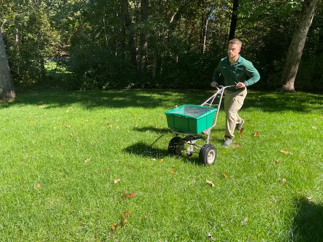 Virginia Green Lawn Care Picture 4