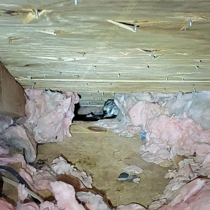 Animal Dispatch, LLC Picture 1
