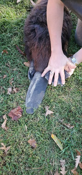 Animal Dispatch, LLC Picture 4