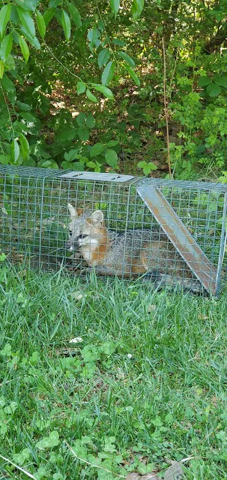 Animal Dispatch, LLC Picture 9