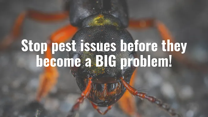 Advance Pest Control Picture 3